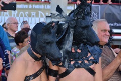 DSC_5742
