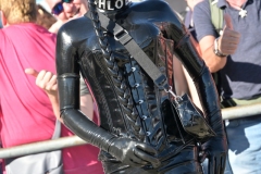 ARS_1981